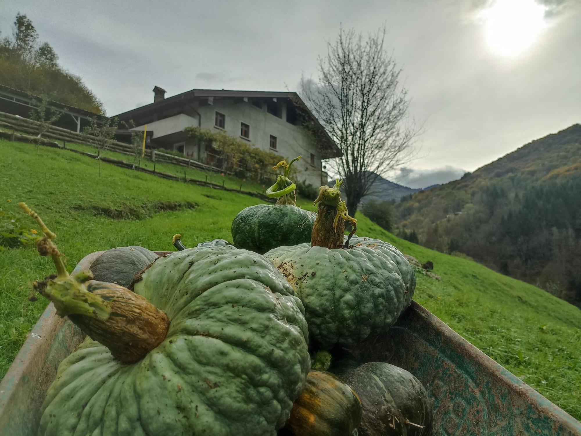 Séjour à la ferme Cascina Cornella *